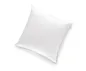 Preview: Wasserbetten-Centrum - Wasserbett - OBB - Black Forest „Madlene“ Daunen Kopfkissen